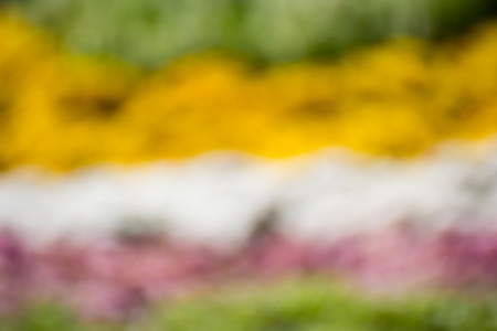 Colorful red, yellow and green bokeh backgroundの写真素材