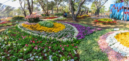 KHON KAEN,THAILAND - DECEMBER 20: Panorama of around the AMAZING FLOWER FESTIVAL 2013 on December 19,2013 in Thung Sang Lake, Khon Kaenのeditorial素材