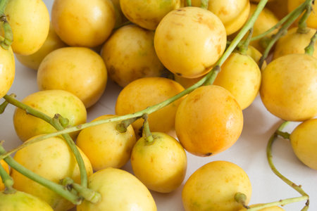 Burmese grapes isolated on white background