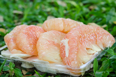 Pieces of fresh grapefruit in plastic box above green grassの写真素材