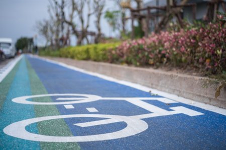 Close up of blue-green bicycle lane in public park