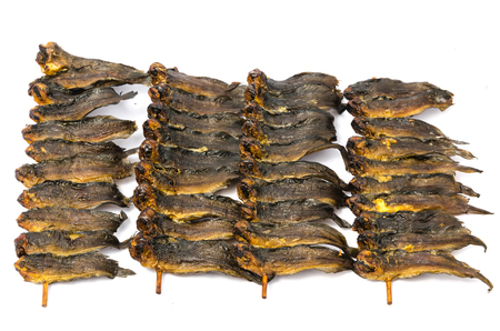 Dried clarias fishes in bamboo skewer isolated on white backgroundの写真素材