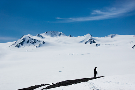 Silhouette hiker and the snowy white mountain on the backgroundの写真素材