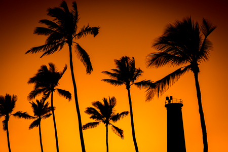 Silhouette of coconut trees and lighthouse sunset lightの写真素材