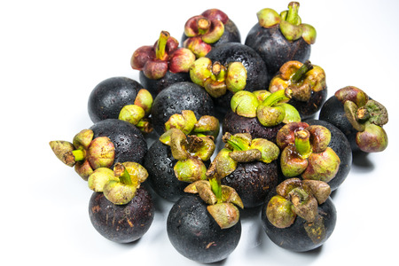 Queen of Thai Fruit is Mangosteen, normally bear the fruit in rainy season. With high benefit such as reducing LDL cholesteral level in blood vessel, Diabetes and so on.の写真素材