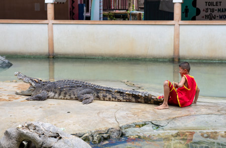A young boy in a red outfit interacts with a large crocodile at a wildlife park in Thailand during middayの写真素材