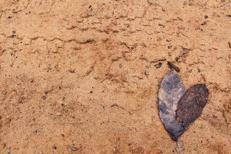 heart on the floorの写真素材