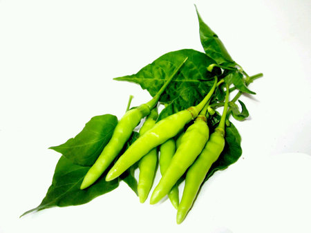 Green pepperの素材