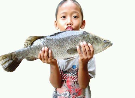 Boy and fishの素材