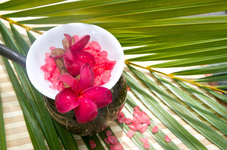 bowl of sea salt and red plumeria for spa treatmentの写真素材
