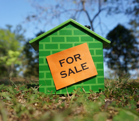 house model on the grassの写真素材