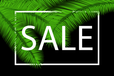 Sale banner with palm leaves. Floral tropical holidays background. Vector illustration. Hot Summer Sales design. Eps 10.のイラスト素材