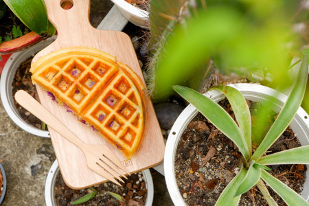 Top view. Delicious waffles on the wooden plate at garden.の写真素材