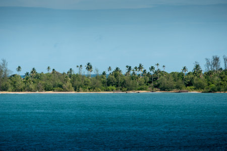 Coast of tropical island with palm trees and blue sky, Thailandの写真素材