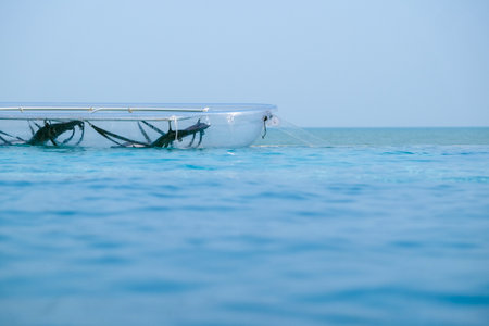 Carbon fiber PC transparent boat on the swimming pool.の写真素材