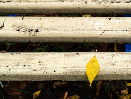 wet single yellow fallel leaf on wooden bench in park in autumn rainの写真素材