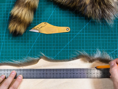 workshop of manufacturing of coats from raccoon fur - craftsman draws a cutting pattern on a fur...