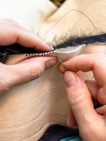 workshop of manufacturing of coats from raccoon fur - furrier sews fur pelts by needle close up