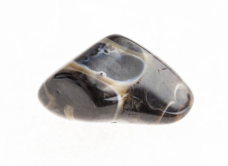 macro photography of natural mineral from geological collection - tumbled turritella agate fossil gemstone on white backgroundの写真素材