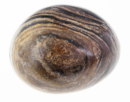 macro photography of natural mineral from geological collection - tumbled stromatolite (stromatolith) gem stone on white backgroundの写真素材