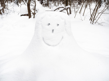 smiling face on snow-covered stump in city park in winter dayの写真素材