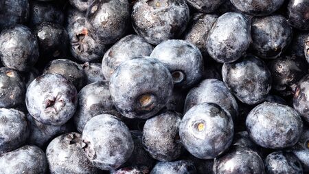 natural food panoramic background - many ripe blueberry fruits close upの写真素材