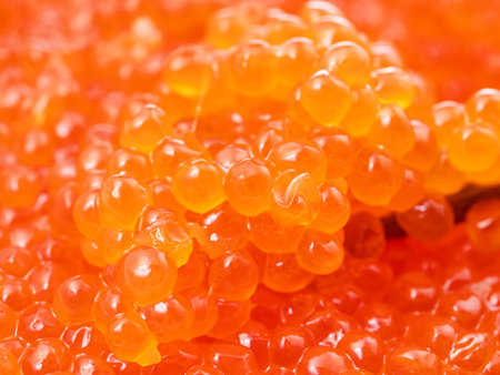 macro photo of red caviar of pink salmon fish close-upの写真素材