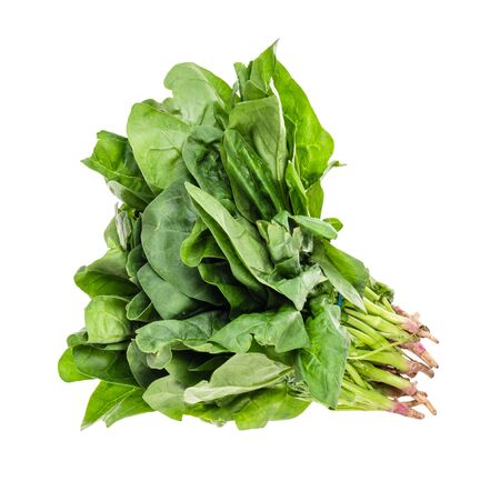 bundle of fresh green spinach herb cutout on white backgroundの写真素材