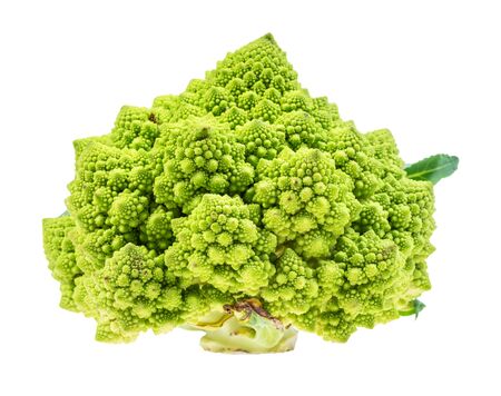 green romanesco broccoli cabbage cutout on white backgroundの写真素材