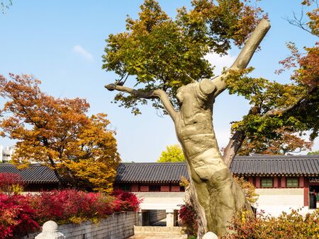 SEOUL, SOUTH KOREA - OCTOBER 31, 2019: decorated tree and buildings Changdeokgung Palace in Seoul city on autumn day. Unhyeongung is a former Korean royal residence located in Jongno districtのeditorial素材
