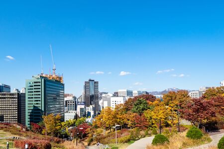 SEOUL, SOUTH KOREA, NOVEMBER 4, 2019: people on footway in colorful Namsan Park on Nam Mountain and view of modern buildings in Jung-gu district in Seoul city on sunny autumn dayのeditorial素材