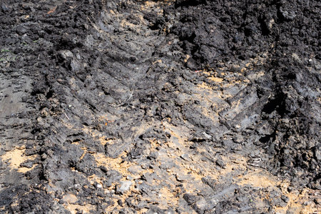truck wheel imprints in wet soil on edge of plowed field in spring