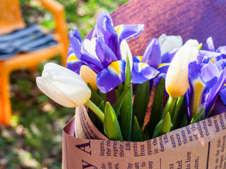 bouquet of fresh tulip and iris flowers wrapped in newspaper lit by sun in backyard close upの写真素材