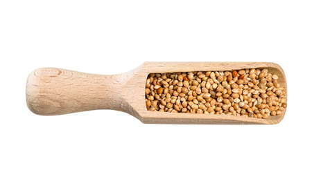 top view of unhulled yellow proso millet seeds in wood scoop cutout on white backgroundの写真素材
