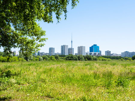 green overgrown meadow and residential district on horizon on sunny summer dayの写真素材