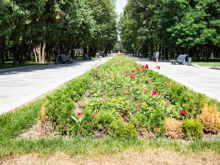 Moscow, Russia - July 19, 2021: flowerbed on alley of North River Terminal park in Moscow city in summer. The terminal was built in 1937 and it was renovated and upgraded in 2018-2020のeditorial素材
