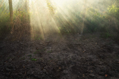 sunbeams in smoke from burning leaves over garden in autumn
