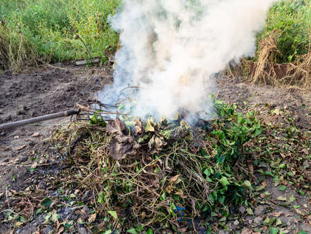 cut branches and stems of plants removed from garden are smoldered at stake in autumn eveningの写真素材