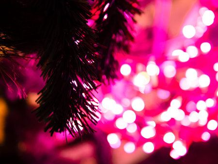 silhouette of christmas tree twigs and blurry pink lights of garlands in the background (focus on...