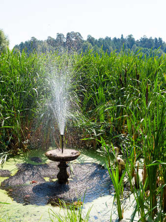 old water fountain between bulrushes on shore of lake on sunny summer day near Raifa Bogoroditsky Monastery, Russiaの写真素材