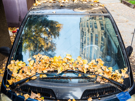 yellow fallen leaves on windscreen of little car on Yerevan city street on autumn dayの写真素材
