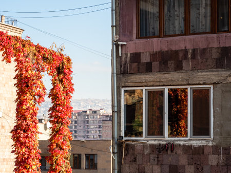 colorful ivy leaves on gas pipeline and urban house in Yerevan city on sunny autumn dayの写真素材
