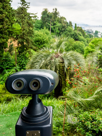 viewpoint in Batumi Botanical Garden, Georgia on overcast summer day