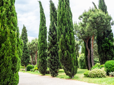 garden around cathedral in city on overcast summer day, Georgiaの写真素材
