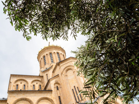 green tree and Holy Trinity Cathedral (Sameba) of Tbilisi city on overcast summer day, Georgia