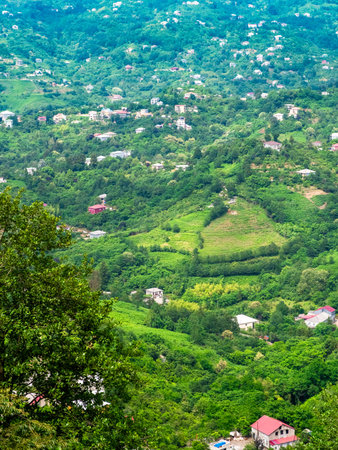 above view of country houses and gardens in mountain valley in suburbs of Batumi city from Tsminda...