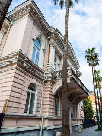 urban building and palm trees on street in Batumi city on summer day, Georgiaの写真素材