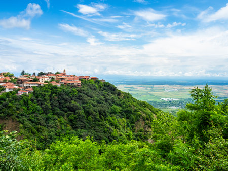 above view of Sighnaghi town on top of hill in Alazani valley on summer morning, Georgiaの写真素材