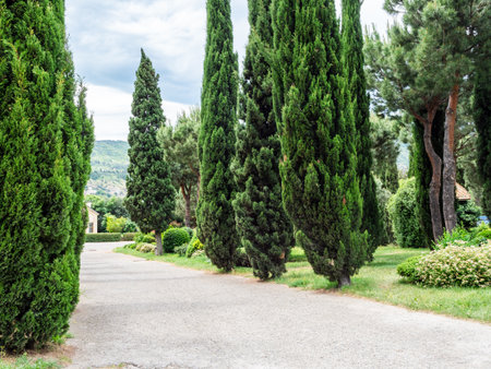 park around in Tbilisi city on overcast summer day, Georgiaの写真素材
