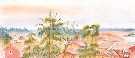 View on small town Uppsala in the autumn  In the foreground high pines  Swedenの写真素材